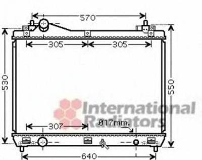 VAN WEZEL 52002100 -  Радиатор, охлаждение двигателя